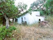 Ref. 254 Irrigated plot with buildings bordering the...