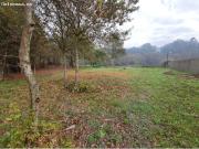 REF 2856 SOLAR LLANO 560 m2 ZONA TORROSO MOS