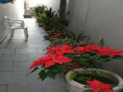 REF: 3554 sobrado no bairro Vila Nova Cachoeirinha, com...