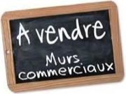 Réf 3728 Campagne boulonnaise, ensemble immobilier rare...