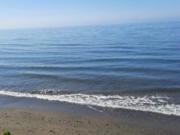 Ref. 50818 Se alquila local en pleno centro!