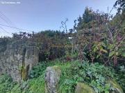 REF 7025 CASA DE PIEDRA ANTIGUA PARA REHABILITAR EN...