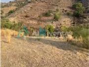 Ref A148 TERRENO RUSTICO EN CARTAMA