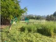 Ref A157 Finca Rustica en Estacion de Cartama