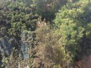 REFORMA BOSQUE DE LAS LOMAS