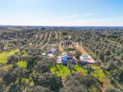 Refúgio Alentejano com Piscina e Energia Solar Pavia | Mora Refúgio Alentejano com Piscina e Energia Solar Pavia | Mora