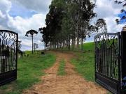 REFÚGIO DO CAMBUÍ – SA SUA OPORTUNIDADE DE OURO NA...