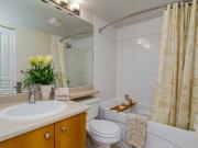 Regina Apts 1 Bedroom Apartment for Rent at 1802...