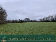 Région SOURDEVAL MANCHE Parcelles d'herbage et bois...