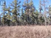 Regional Park Lot 5 3, Hudson Bay Rm No. 394, SK, S0E...