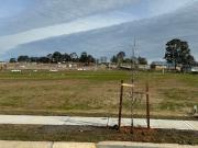 Registered Land For Sale