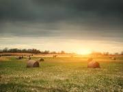 Reignac sur Indre 37310 Programme neuf terrain neuf à vendre