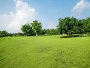 Reignac sur Indre 37310 Programme neuf terrain neuf à vendre