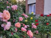 Reims 51100 Achat / Vente maison 6 pièces t6 au dernier...