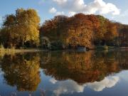 Inkl. Einbauküche: zentrale und frisch renovierte 4...