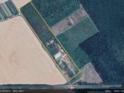 Reiterparadies in Ungarn Traumvilla OHNE Nachbarn 8...