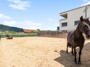 REITSPORT, WOHN UND GEWERBEIMMOBILIE MIT VIELFÄLTIGEN...