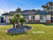 Reliable Returns & Family Function in One