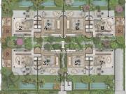 Relva Alto de Pinheiros