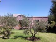 Rem propiedades vende fincas en lavalle. Mendoza