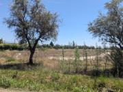 Rem propiedades vende terreno en maipu / mendoza