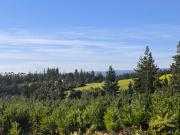 Rematamos Parcelas En Pichilemu, Bucalemu, Paredones....