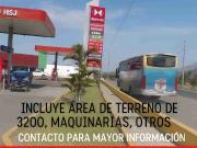 remate 50 % grifo San Jacinto