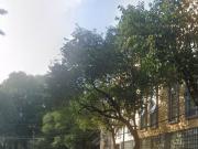 REMATE DE DEPTO Col. General Pedro Maria Anaya, Benito...