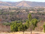 Remate de Terreno en Venta en Rancho San Diego Ixtapan...