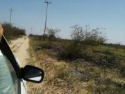 REMATO A 4,500 x HA EN JAYANCA VALLE LA LECHE 78... REMATO A 4,500 x HA EN JAYANCA VALLE LA LECHE 78...