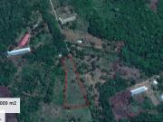 REMATO TERRENO POR VIAJE EN SAN JUAN IQUITOS