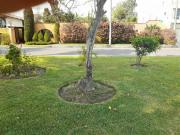 Remato Vendo Hermosa Casa Frente Parque Calle Petunias...