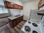 Remodeled One Bedrooms 1 Bedroom Apartment for Rent at...