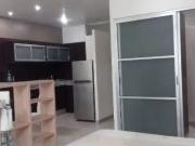 RENA Triumph Towers Loft Amueblado, Vig, Gym, Elvador,...