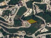 Renacimiento Renacimiento