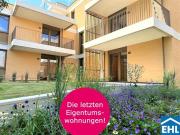 Herzlich willkommen zum Projekt WILDGARTEN