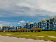 Renovated 1br Apt Near Foothills Hospital, Sait And U Of C