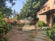 Renovated And Maintained 1000 Square Yards 6 Bedroom...