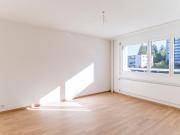 RENOVATED APARTMENT WITH BALCONY AND ELEVATOR