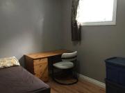 Renovated Basement room 5 mins walk to West Edmonton Mall