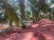 Renovated, Furnished