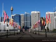 Renovated Inner City Classic in Thriving Pyrmont Pocket