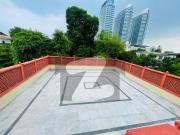Renovated Luxury Triple Story House for Rent in F 6...
