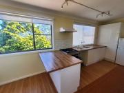 Renovated One Bedroom Flat!