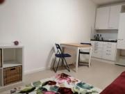 Renovated, quiet, centrally located 1 room apartment,...