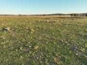 Renovated Rural Homestead with Pool Just 15 Minutes from...