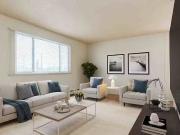 Renovated Suite 1 Bedroom Allen Manor