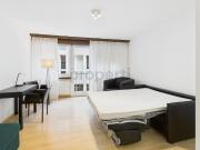 Renovierte 1 Zimmer Wohnung im Herzen von Zürich
