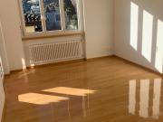 Renovierte 21/2 Zimmer Wohnung in Ascona