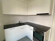 renovierte 3.5 Zimmer Altbauwohnung in Schiers